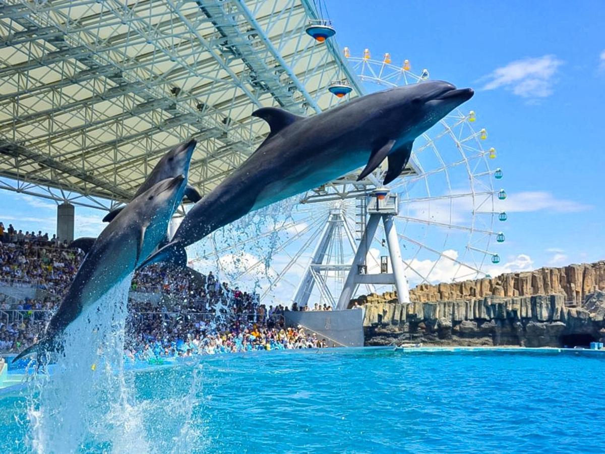 東海シティホテル 東海市 エクステリア 写真